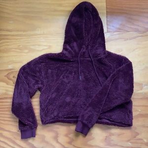 Urban Outfitters Teddy Fleece Hoodie